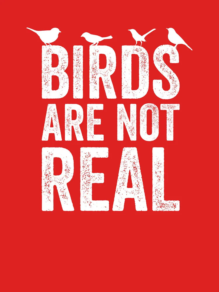Bird Are Not Real Classic T-Shirt