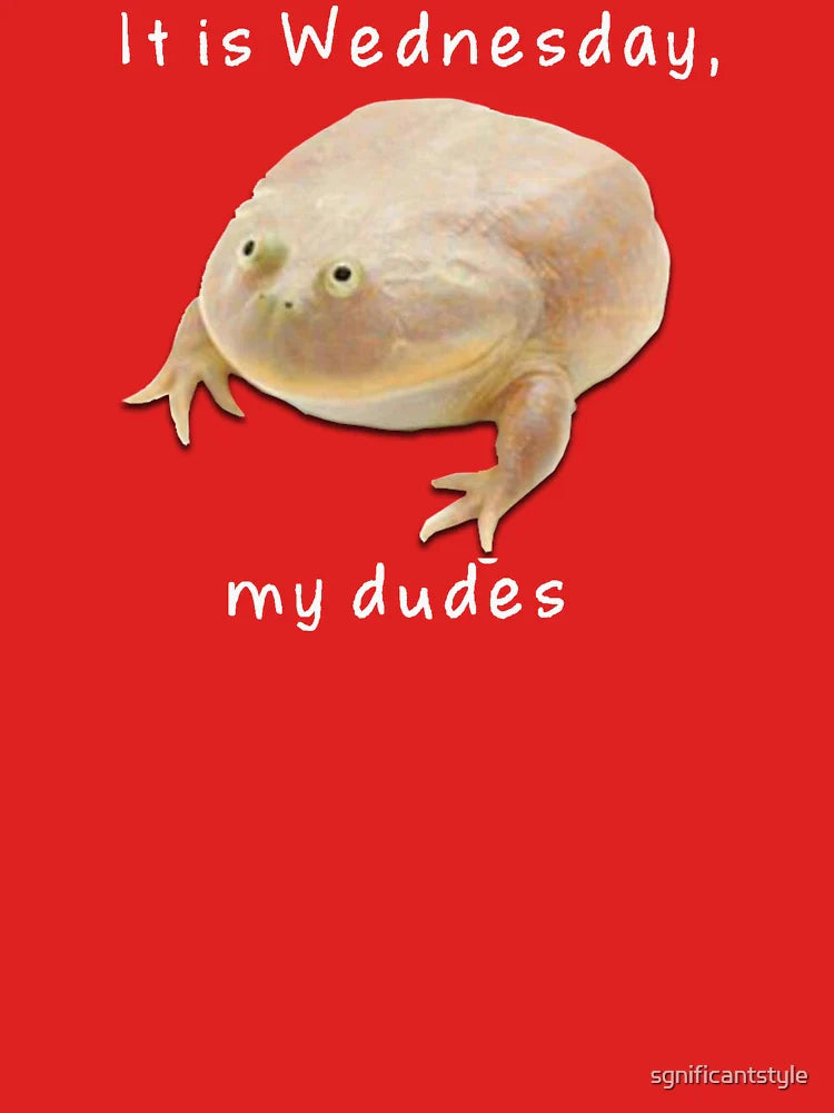 It's Wednesday my dudes Classic T-Shirt