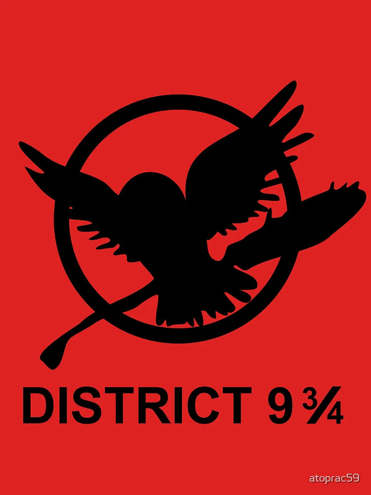 District 9 3/4 Classic T-Shirt