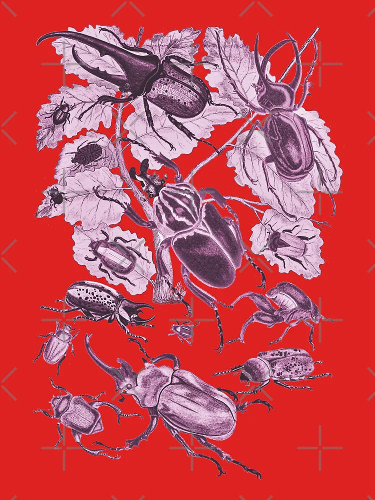 Coleoptera Beetles and Weevils Fuschia Classic T-Shirt