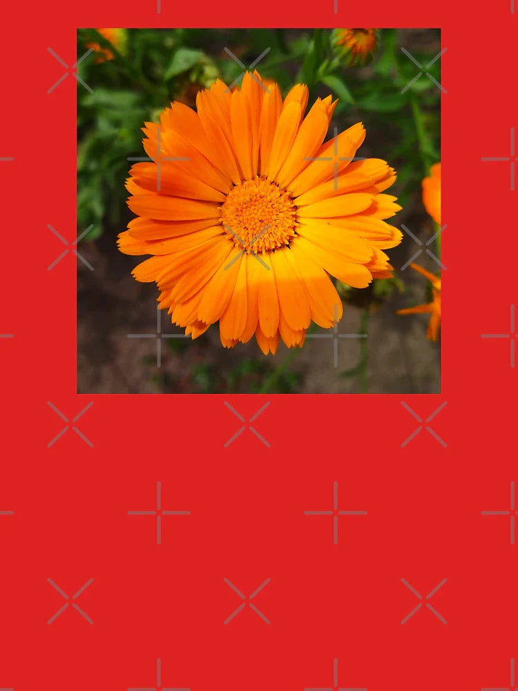 Calendula Classic T-Shirt