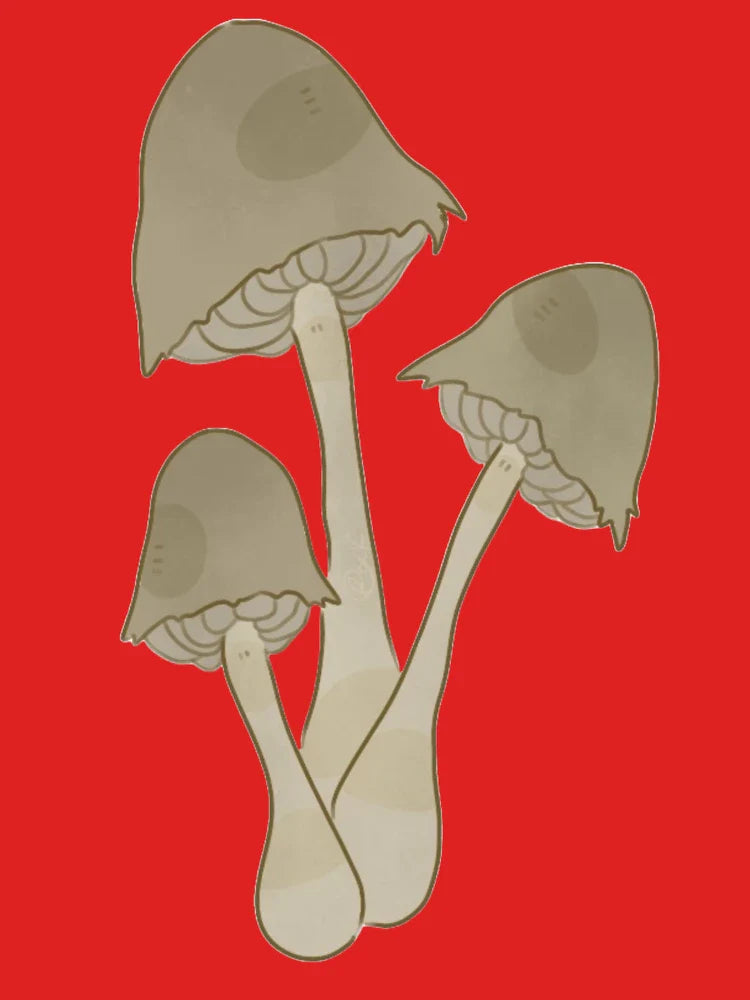 mushroom (1) Classic T-Shirt