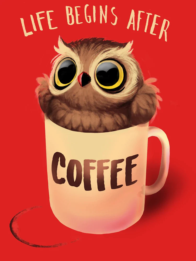 Night Owl Coffee - Cute Bird - Life Begins after Coffee Classic T-Shirt