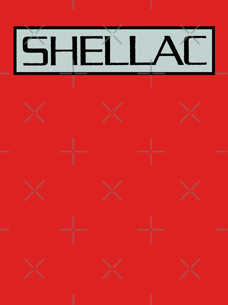 Shellac At Action Park Classic T-Shirt