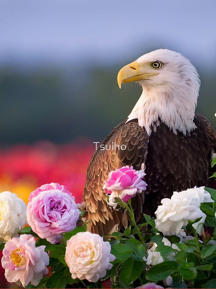 The great eagle and the rosebush Classic T-Shirt