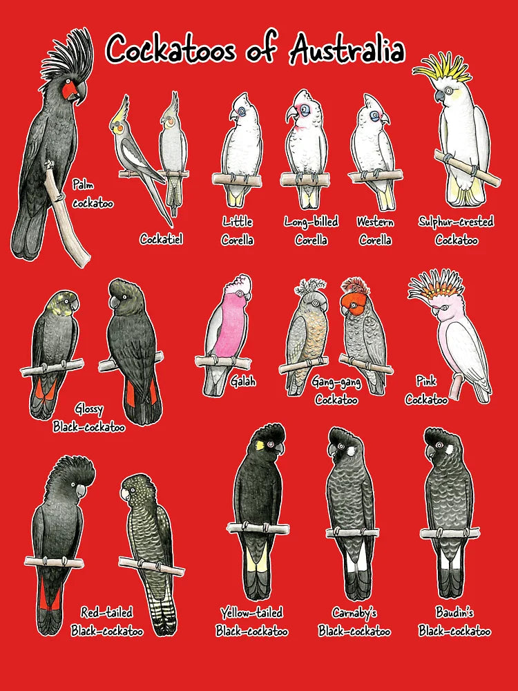 Cockatoos of Australia - Raising funds for Birdlife Australia Classic T-Shirt