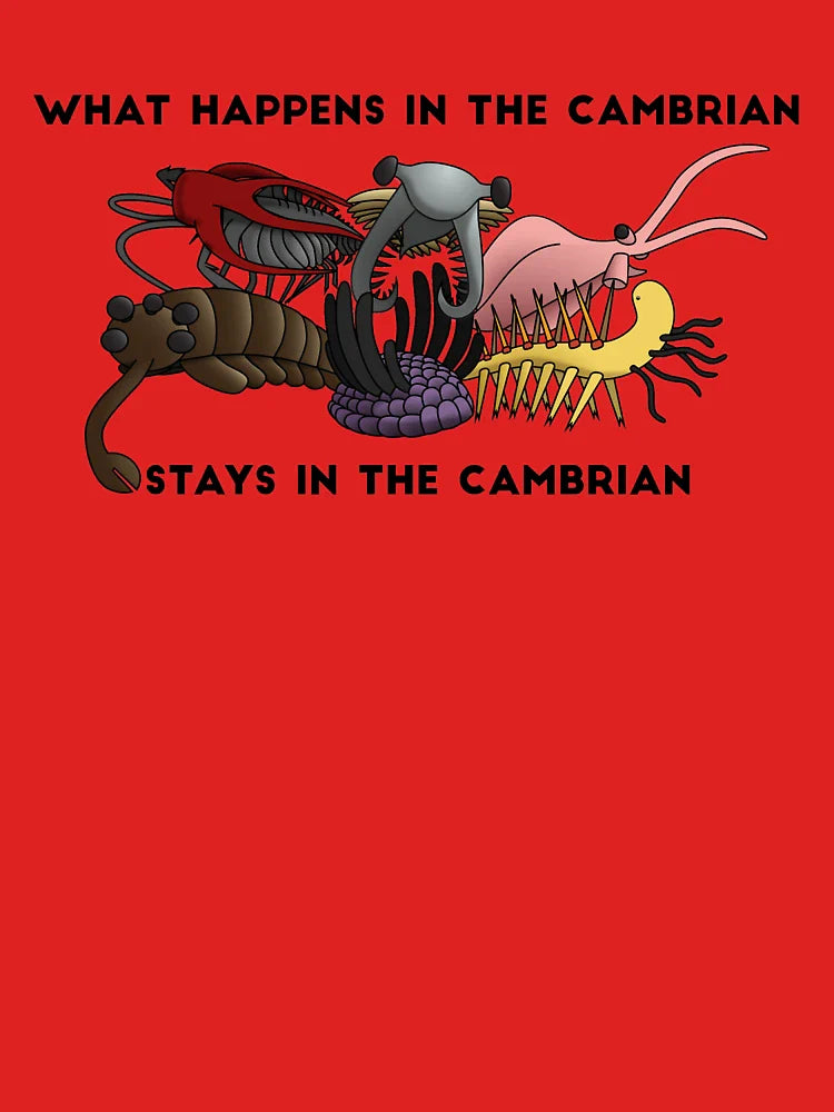 What Happens in the Cambrian... Classic T-Shirt