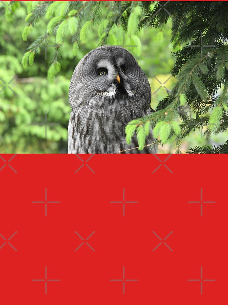 Great Grey Owl 1 / Swiss Artwork Photography Classic T-Shirt