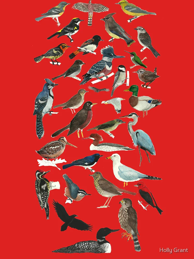 Bird Fanatic Classic T-Shirt