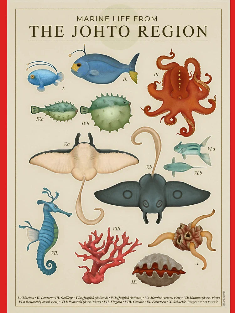 Marine Life from Johto Classic T-Shirt