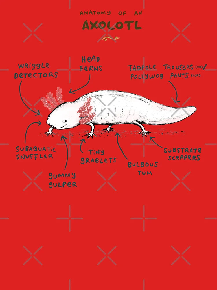 Anatomy of an Axolotl Classic T-Shirt