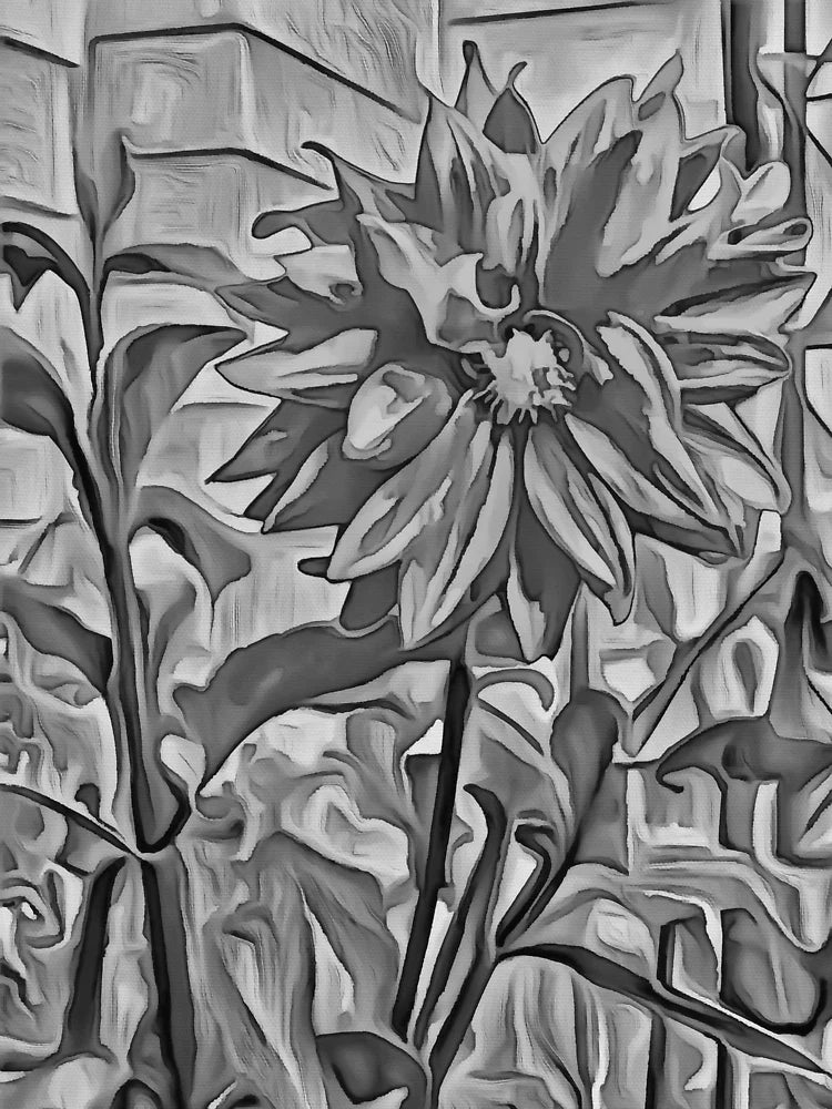 Grandma’s Dahlia 1 Classic T-Shirt