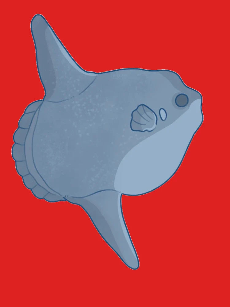 ocean sunfish Classic T-Shirt