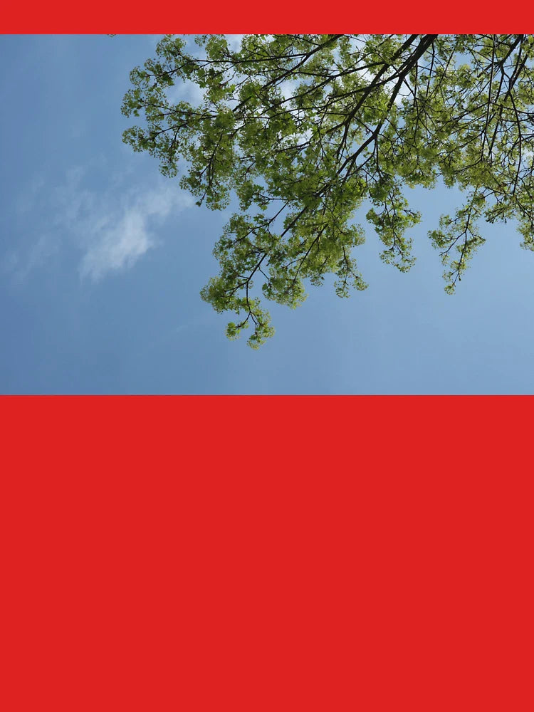 Spring Tree Branches Against a Blue Sky Classic T-Shirt