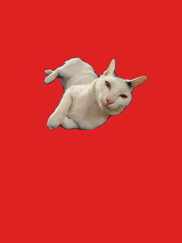 A lazy cat Classic T-Shirt
