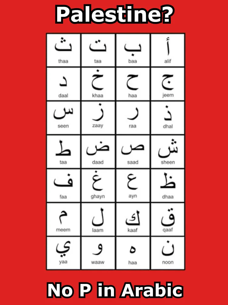 No P in Arabic Classic T-Shirt