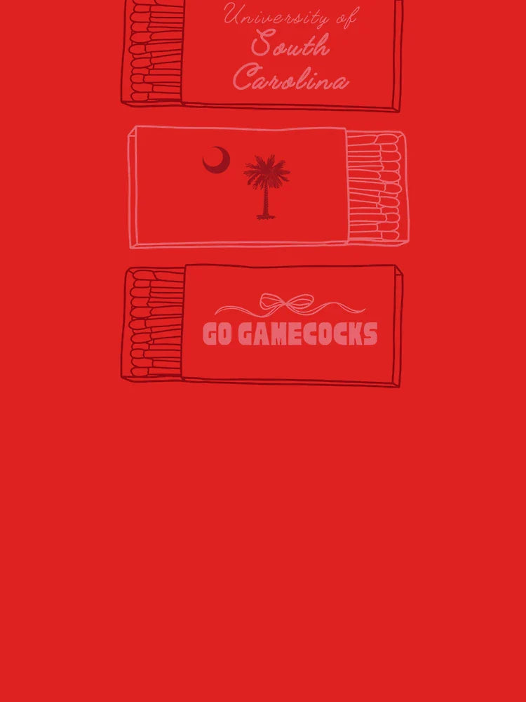 university of south carolina gamecocks matchboxes  Classic T-Shirt