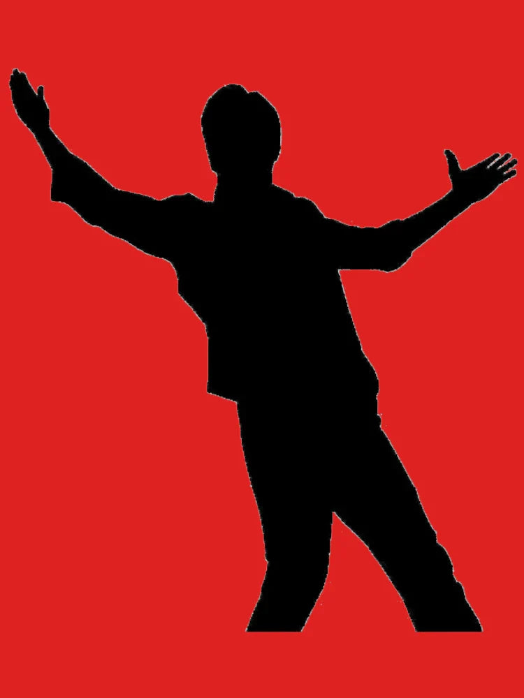Shah Rukh Khan poses Classic T-Shirt
