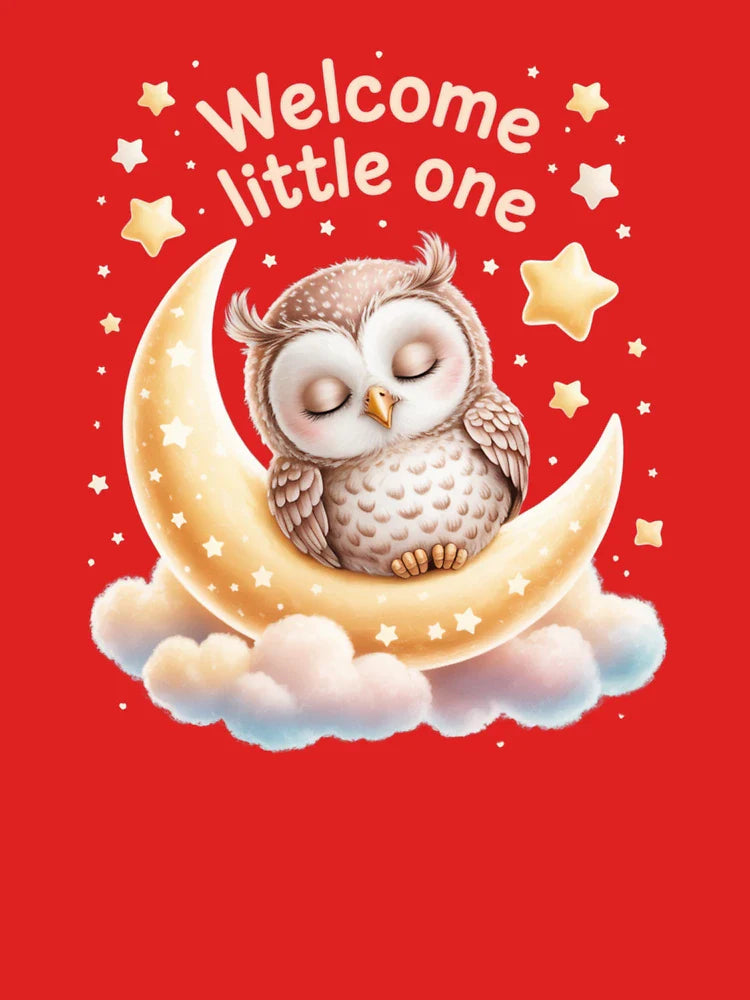 Owl Moon Dreams Welcome Little One Classic T-Shirt