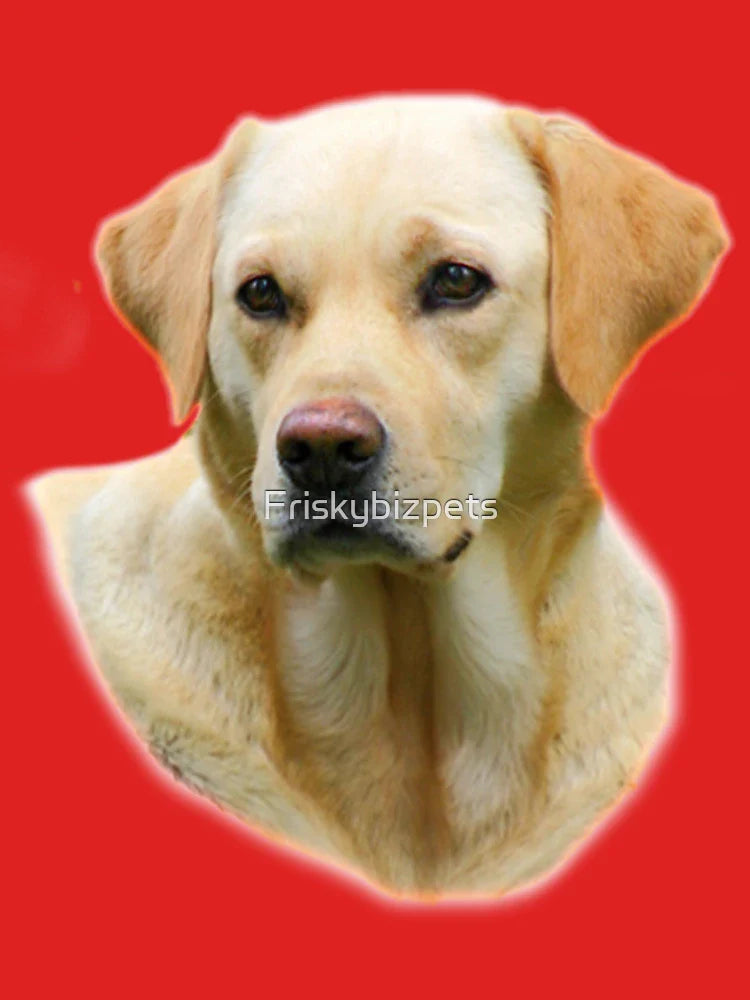 T-SHIRT HANGOVER II 2 Yellow Lab Dog THE REAL ONE zach galifianakis Classic T-Shirt