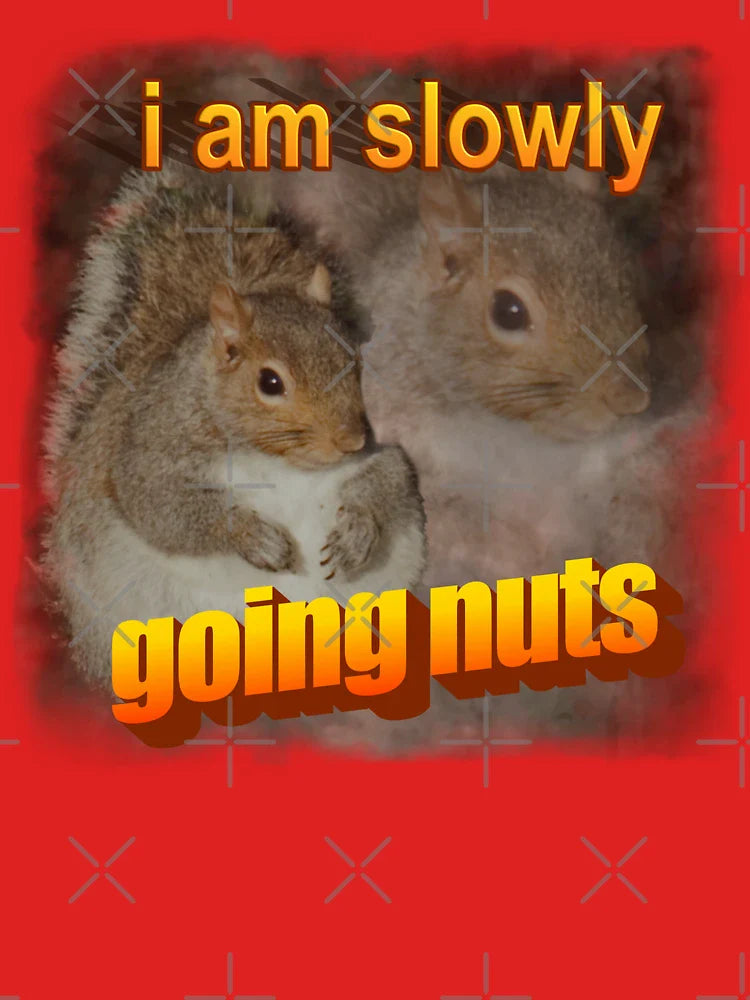 I am slowly going nuts squirrel word art Classic T-Shirt