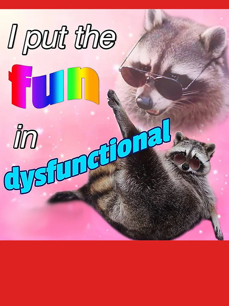 Racoon Meme: I put the fun in dysfunctional Classic T-Shirt