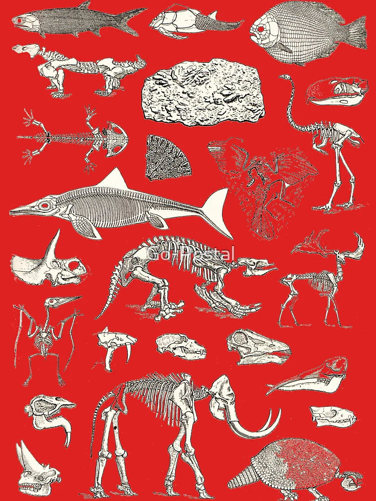 Paleontology Illustration Classic T-Shirt