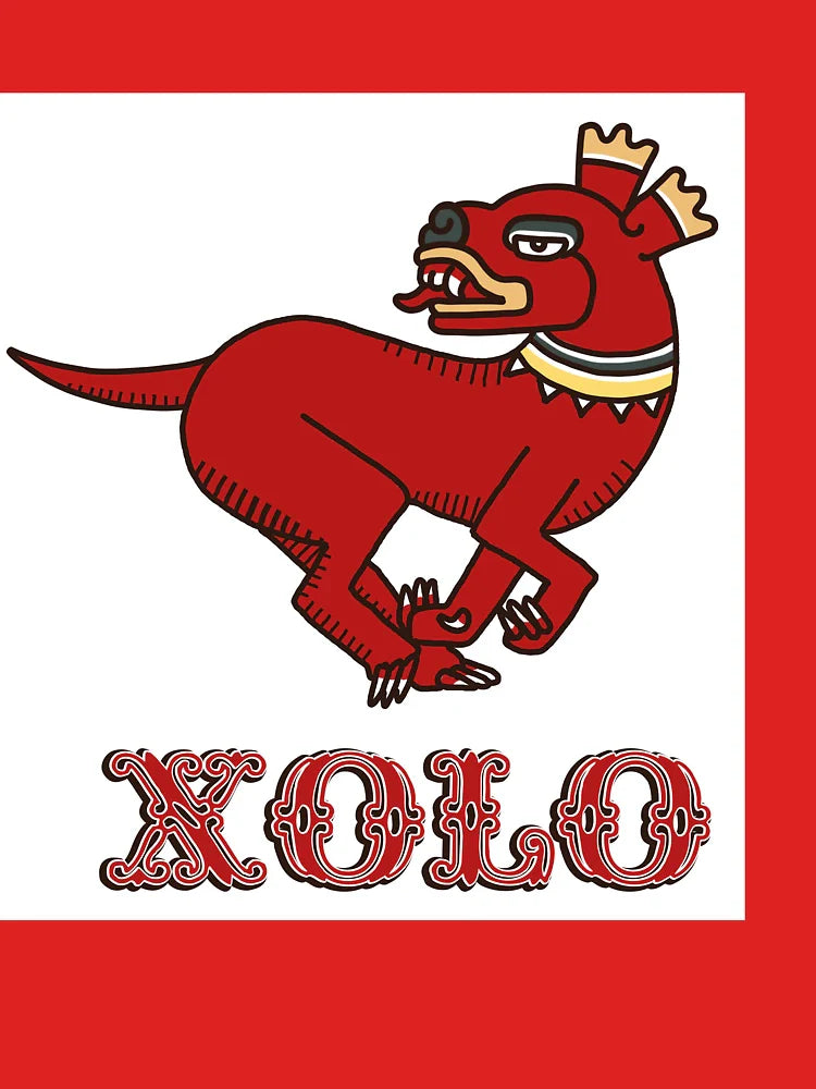 The Xolo Classic T-Shirt