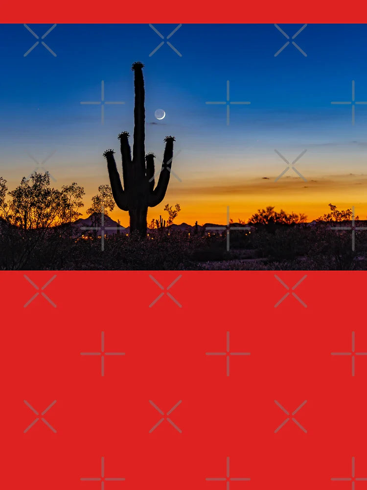 Saguaro Cactus at Twilight in the Sonoran Desert Classic T-Shirt