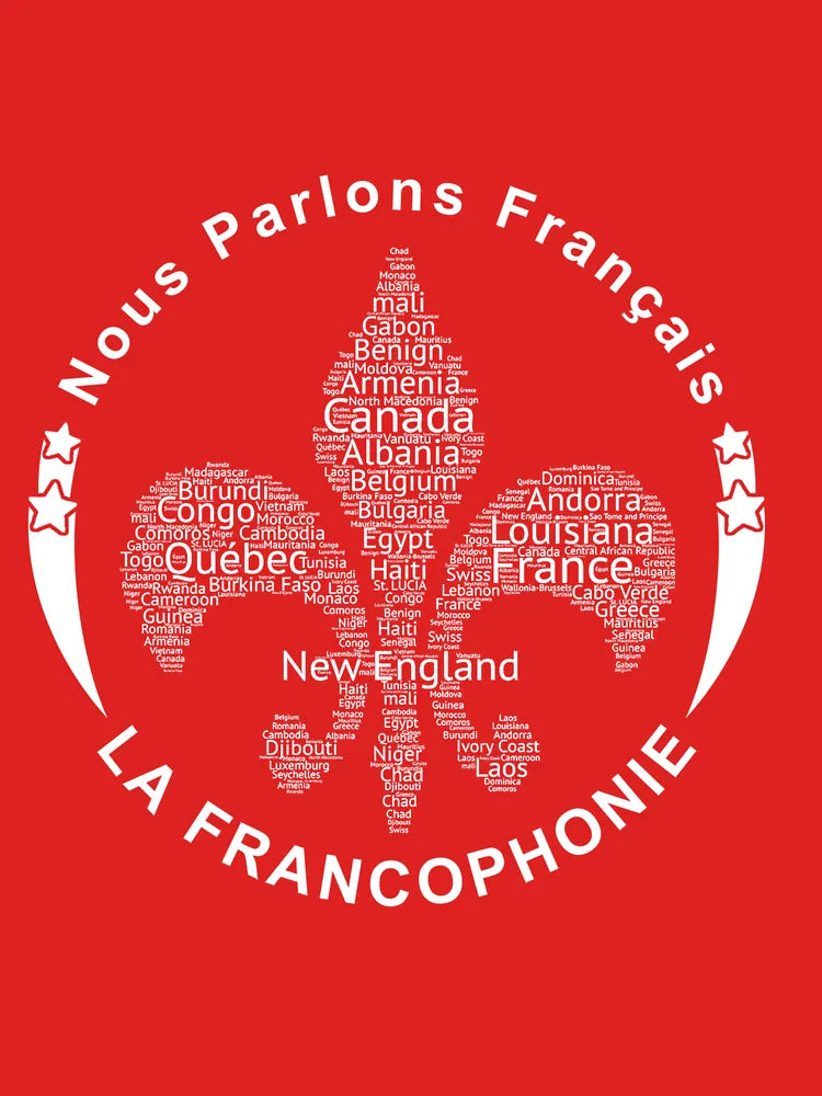 Nous parlons français - We speak French Classic T-Shirt
