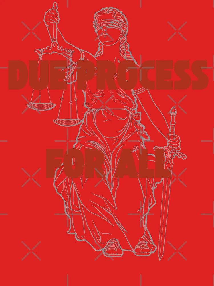 Due Process for ALL Classic T-Shirt