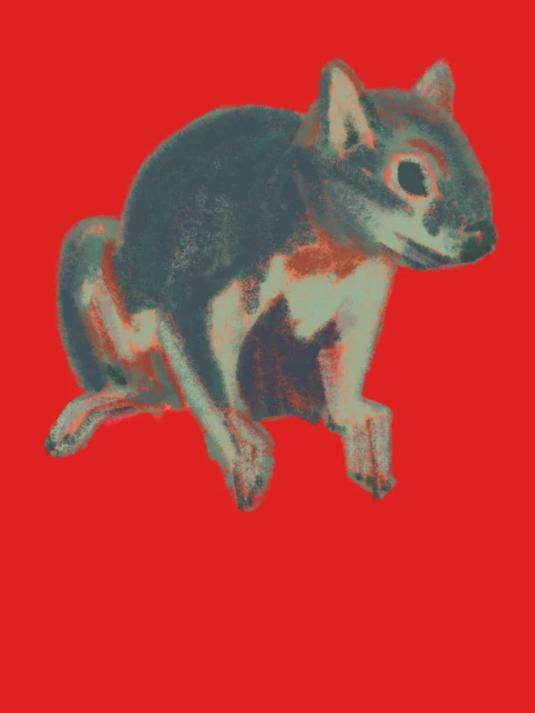 Squirrel Classic T-Shirt