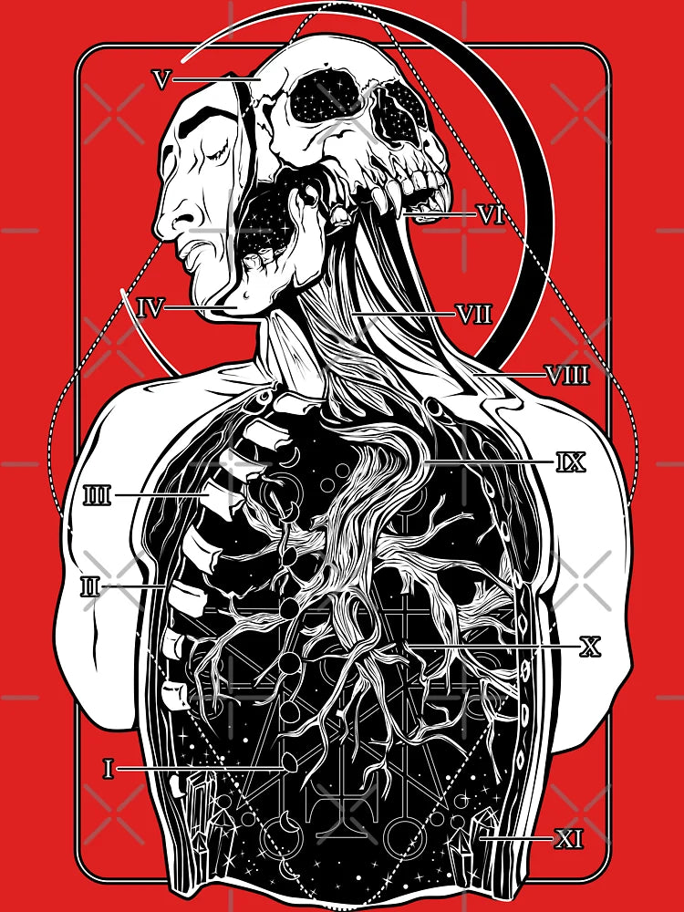 Atypical Anatomy Classic T-Shirt