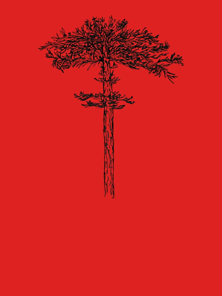 Araucaria araucana Classic T-Shirt