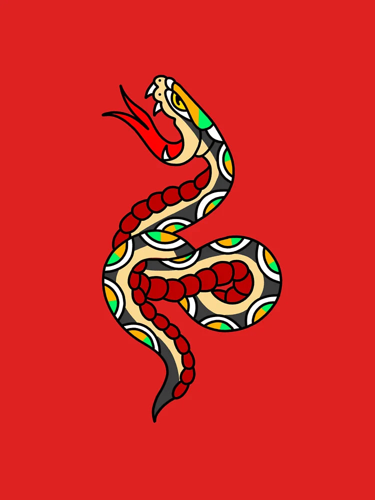 traditional snake Classic T-Shirt