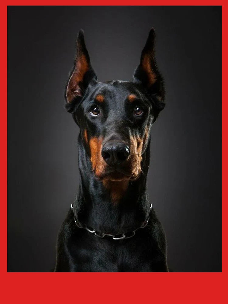 Doberman Graphic  Classic T-Shirt