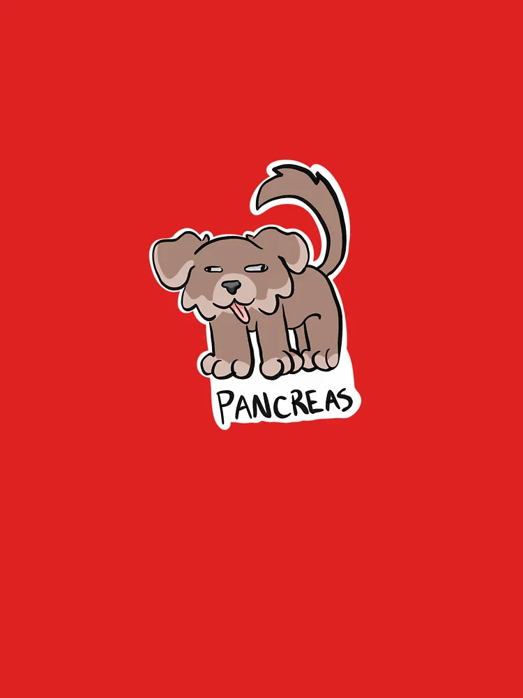 pancreas dog Classic T-Shirt