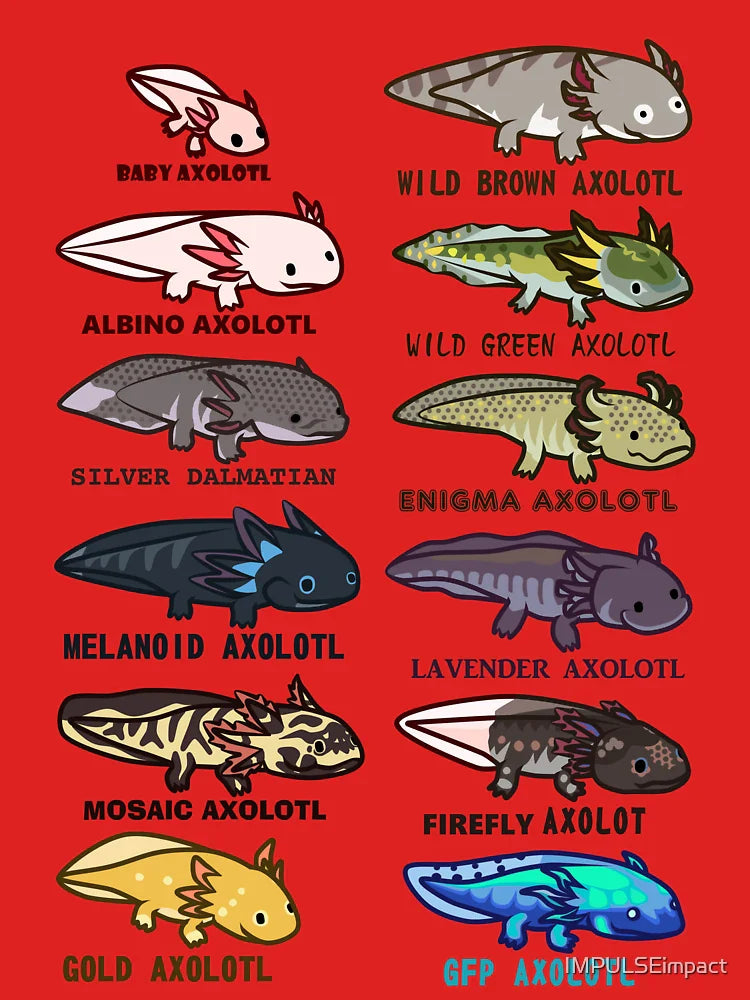 axolotl morphs and colors Classic T-Shirt