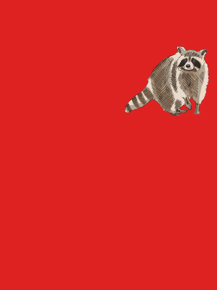 Raccoon Classic T-Shirt