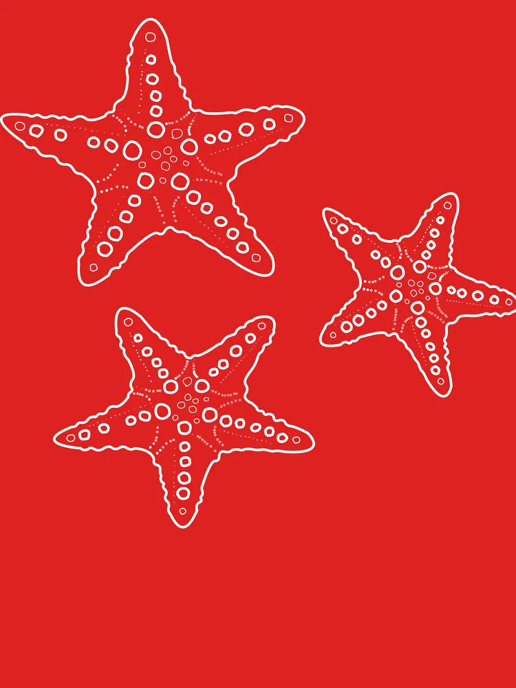 starfish bunch white/blue Classic T-Shirt