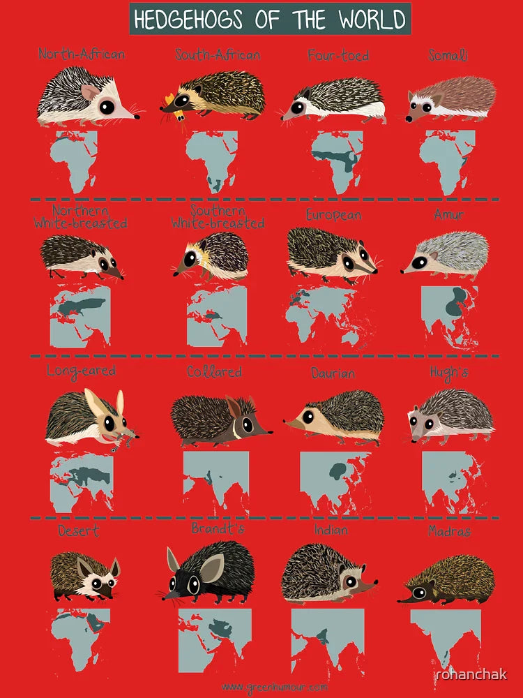 Hedgehogs of the World Classic T-Shirt