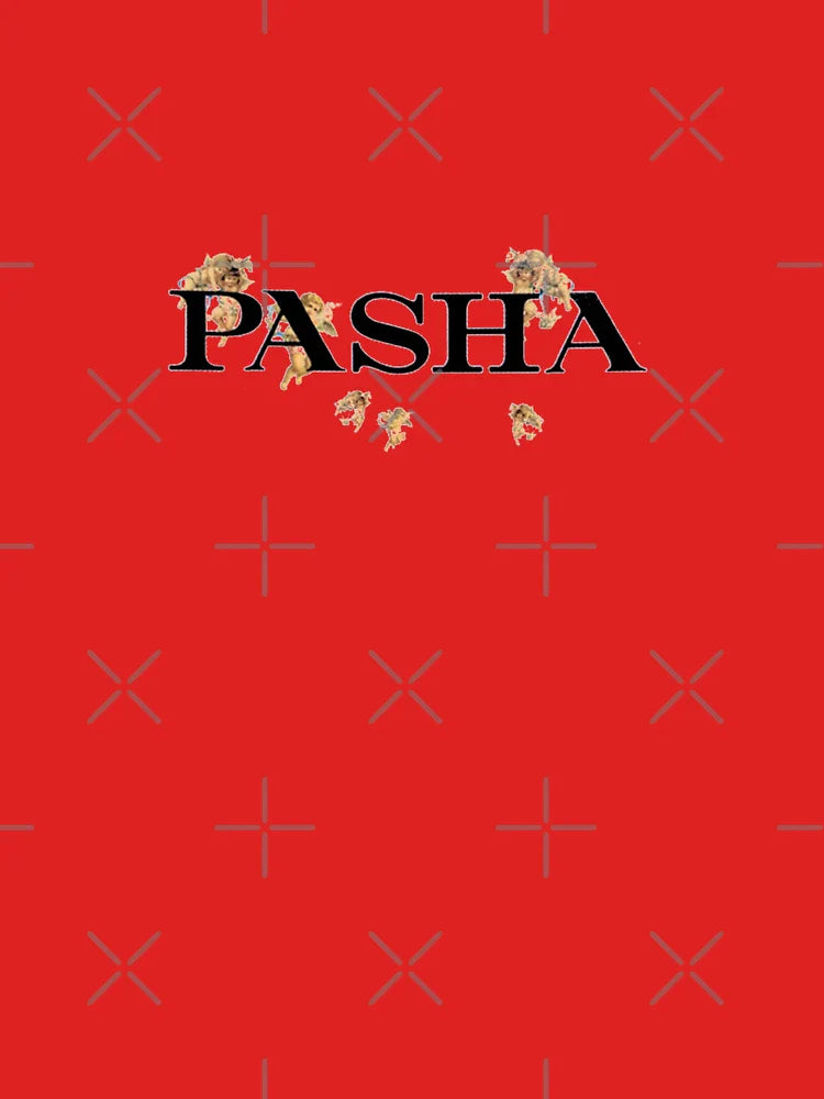 Pashanim Logo Classic T-Shirt