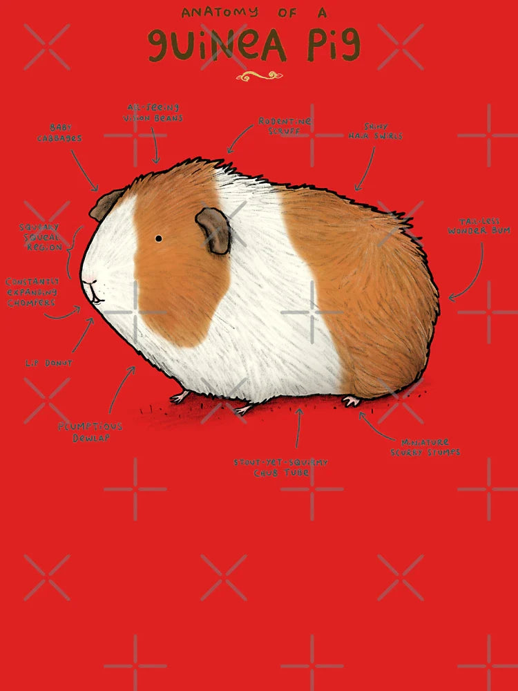 Anatomy of a Guinea Pig Classic T-Shirt