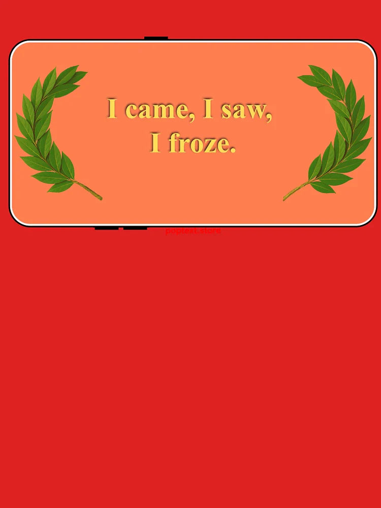 I froze Classic T-Shirt
