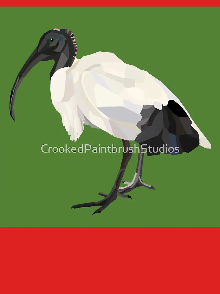 Australian white Ibis (Threskiornis Molucca) Classic T-Shirt