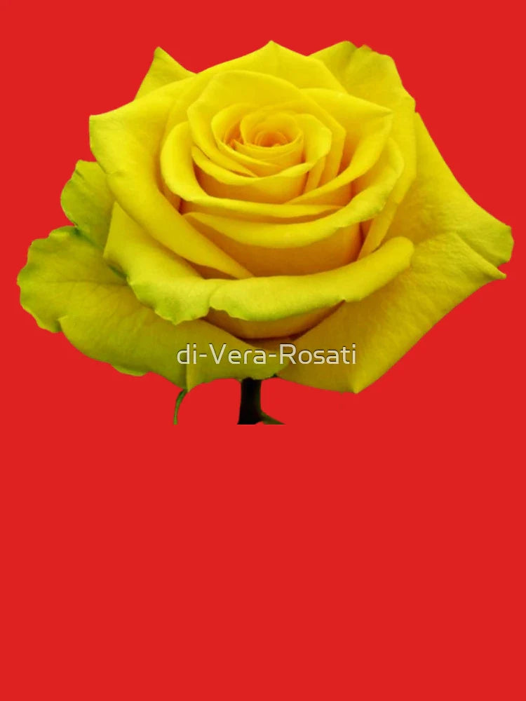 Yellow rose Classic T-Shirt