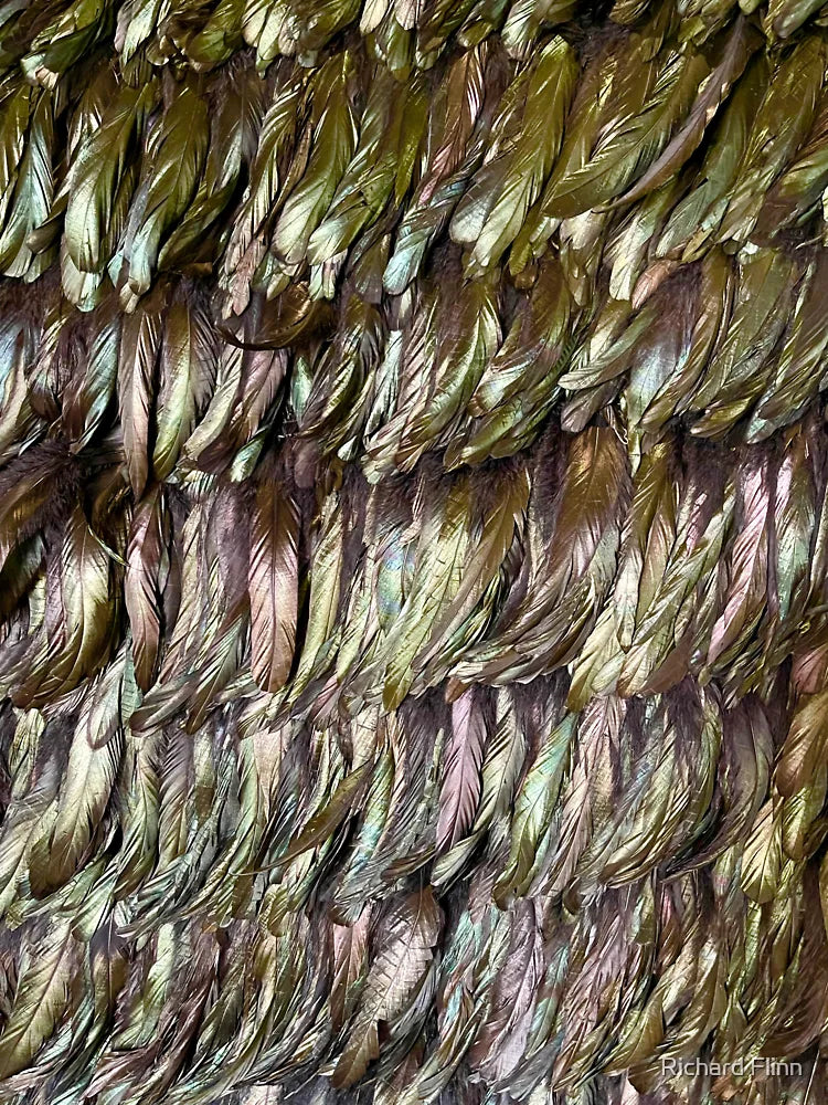 A wall of ravenâ€™s feathers  Classic T-Shirt