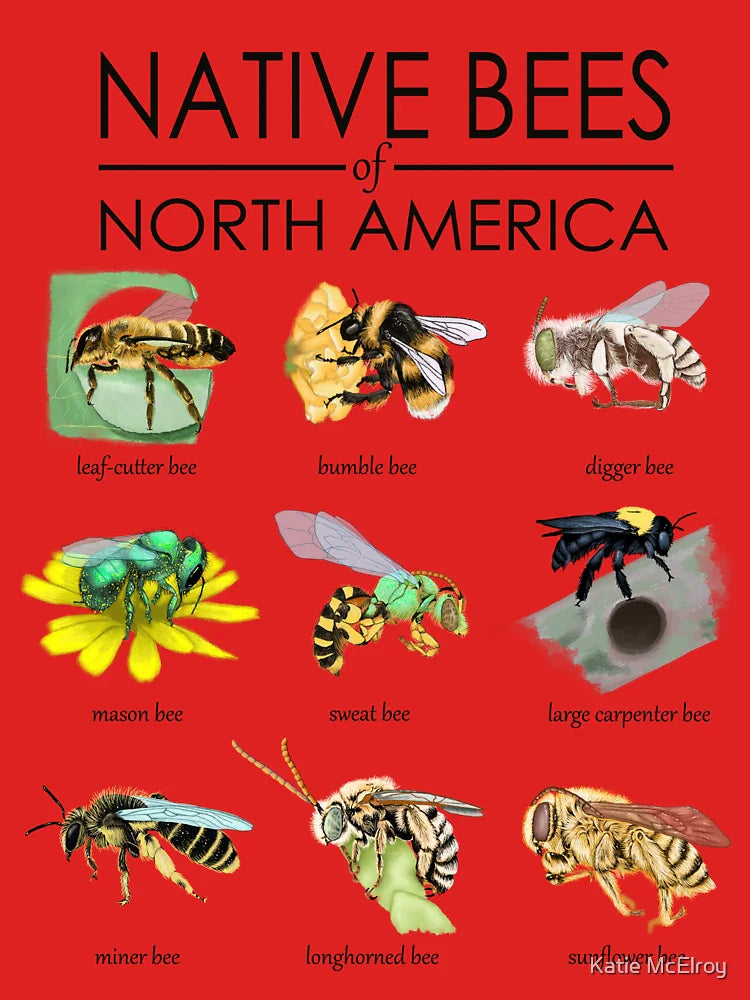 native bees of north america Classic T-Shirt