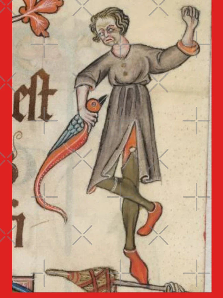 "And I grabbed the bird", medieval painting 9th century AD Classic T-Shirt