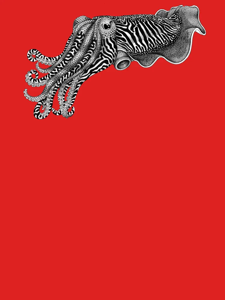 Cuttlefish Classic T-Shirt